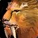 Predatory Strikes talent icon