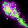 Improved Shadow Bolt talent icon